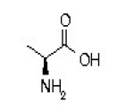 amino acid structure