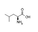 amino acid structure