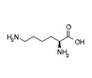 amino acid structure