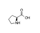 amino acid structure