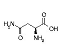 amino acid structure