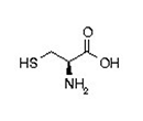 amino acid structure