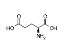 amino acid structure