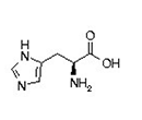 amino acid structure